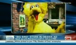 bigbirdobamaad