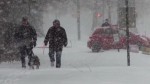 midwestblizzard