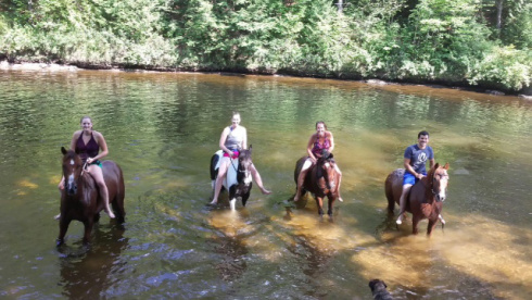 201507269515345795LLS