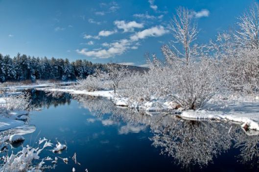 Winter1