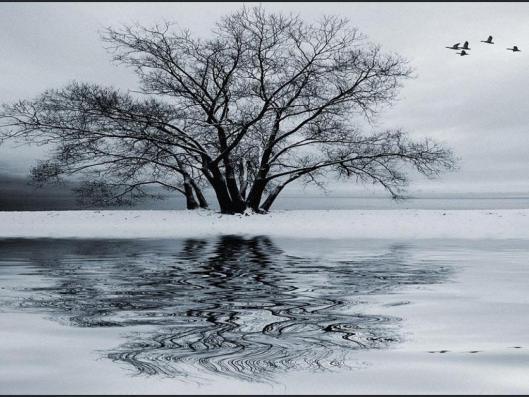 winter2