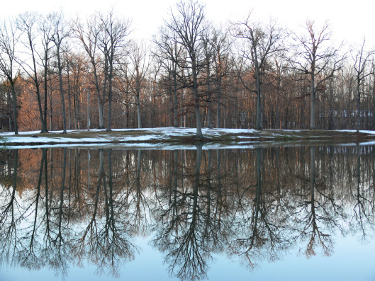 WINTER5