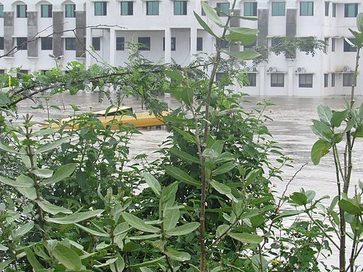 Chennai-floods-2015-dec-5