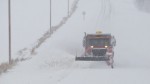 northeastblizzard