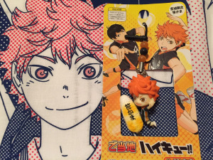 HINATA charn