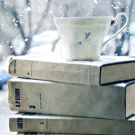 Books and Christmas, what's not to love?