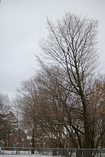 Tree Project - image 95