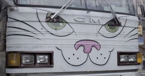 Acrocats tour bus