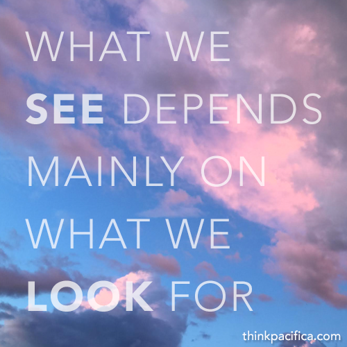 26-what-we-see