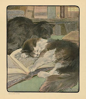 'Napping Cat' by Elizabeth Fearne Bonsall (1903)