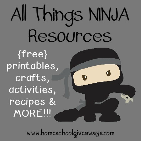 National Ninja Day