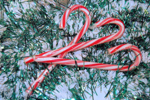 candy-canes-1325755-639x424