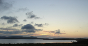 Orkney Alys West