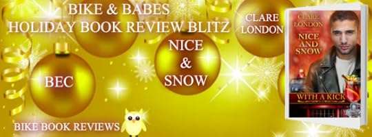 nice and snow banner