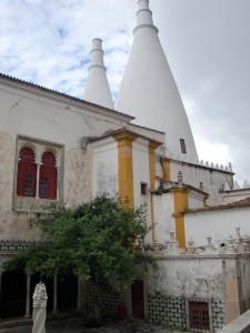 CIMG2664