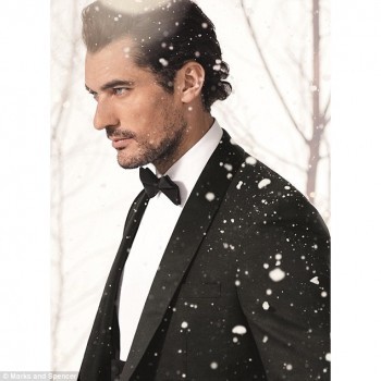 233C8FDE00000578-2837824-Winter_setting_David_gets_into_the_spirit_of_Christmas_as_he_pos-12_1416234537020