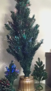 IMG_20151207_101213973[1]