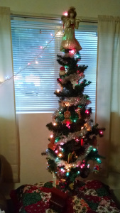 IMG_20151207_101308126[1]