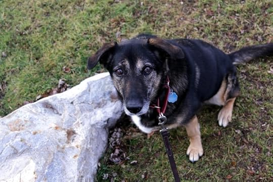 Emmy, the Queen of Niskayuna.