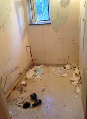 En timme efter att hantverkarna drog in. Most impressive. Nu dricker de kaffe i mitt kök. Katterna har gömt sig. De hatar besök.