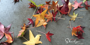 manage change, change, change management, agility, leadership