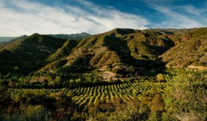 Ojai Valley