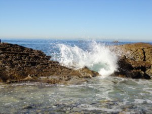 DSC00232