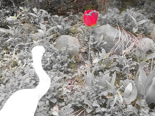 later on that night they all went home and played "Monopoly" and God built hotels on Marvin Gardens