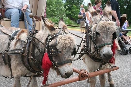sleigh rides pulled by donkeys: