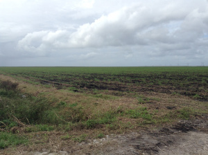 SouthOfLakeOLookingNorth