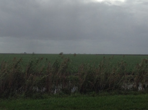 SouthOfLakeOLookingSouth