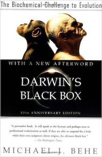 Black Box.jpg