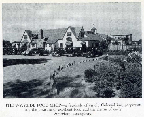 WaysideFoodShopCov995
