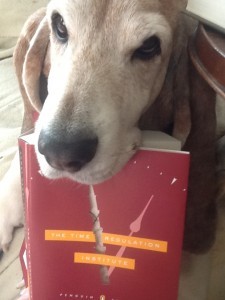 lucy-reads-tanpinar-e1389191050835