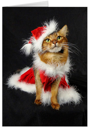 Summer's Santa's Little Helper Card