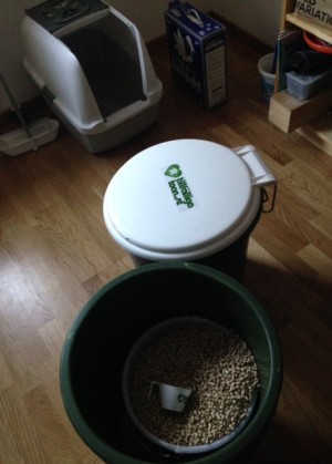 Här går vi på toa, katterna och jag. 