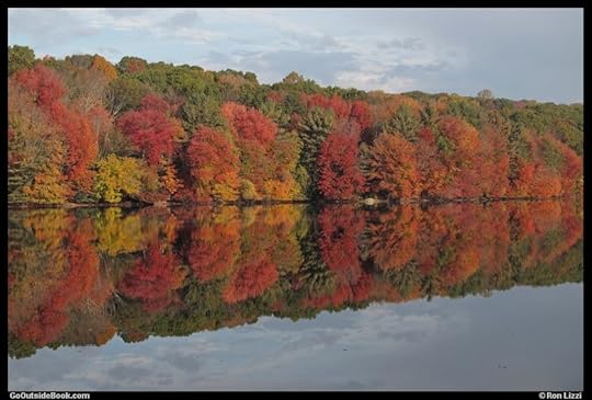 Fall foliage reflection in the Naugatuck State Forest in Oxford, Connecticut
