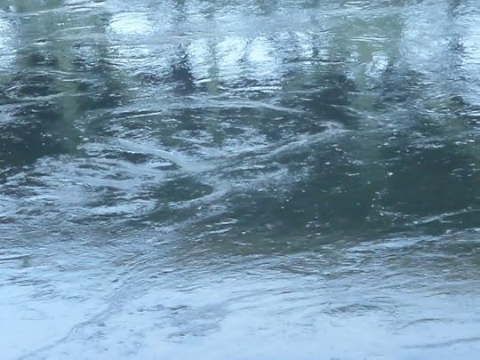 *P1130803.JPG