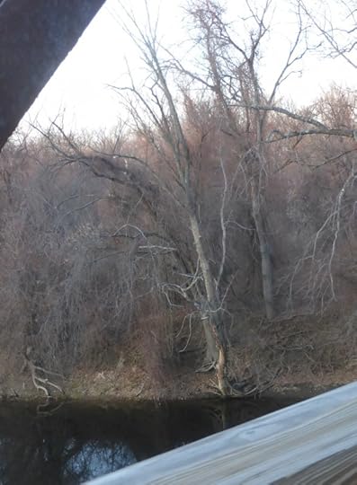 *P1130715 crop 5.jpg