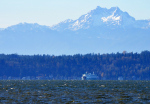 DSC_0705
