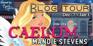 tourbanner