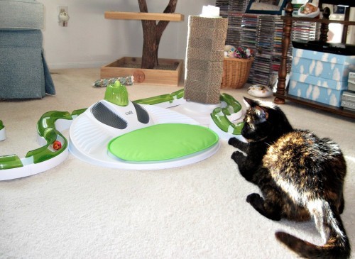 catit-oasis