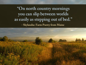 Skylandia-North-Country-Meme