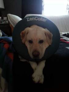 FB_IMG_1448985088417