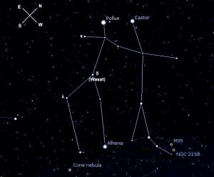 gemini