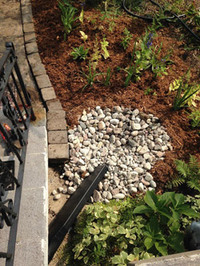 Photo: Homegrown rain gardens win award