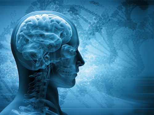 Denying the Signature in the Brain.jpg