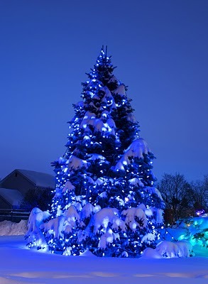CHRISTMAS TREE