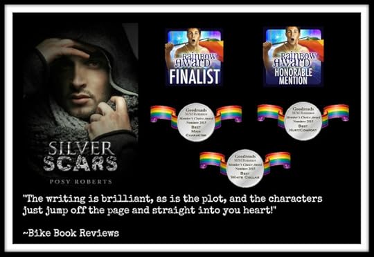 Awards - Silver Scars