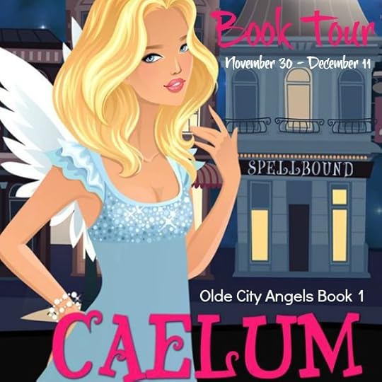 CaelumBookTour